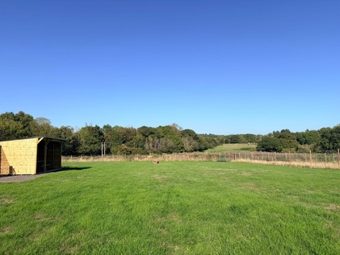 A wooden shed sits on green grass beneath a clear blue sky, with trees visible in the background.